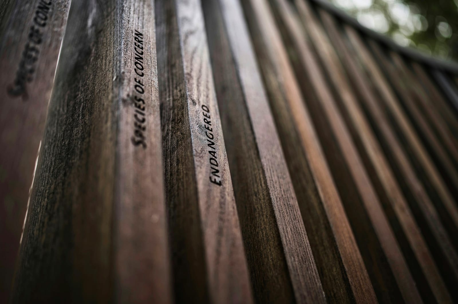 Applying protective stain to a wood fence in Garland, TX.