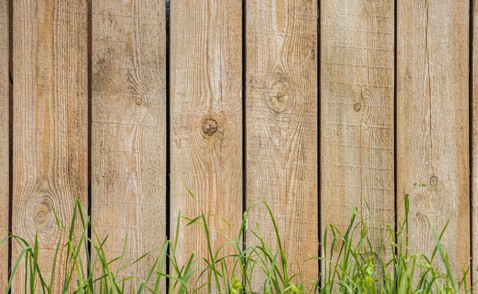 A freshly stained wood privacy fence in a Garland, TX backyard.