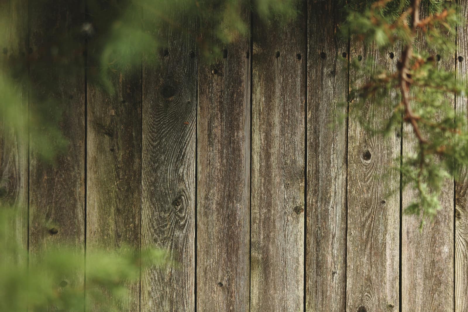 Fence Painting & Staining for homes in Mesquite, TX.