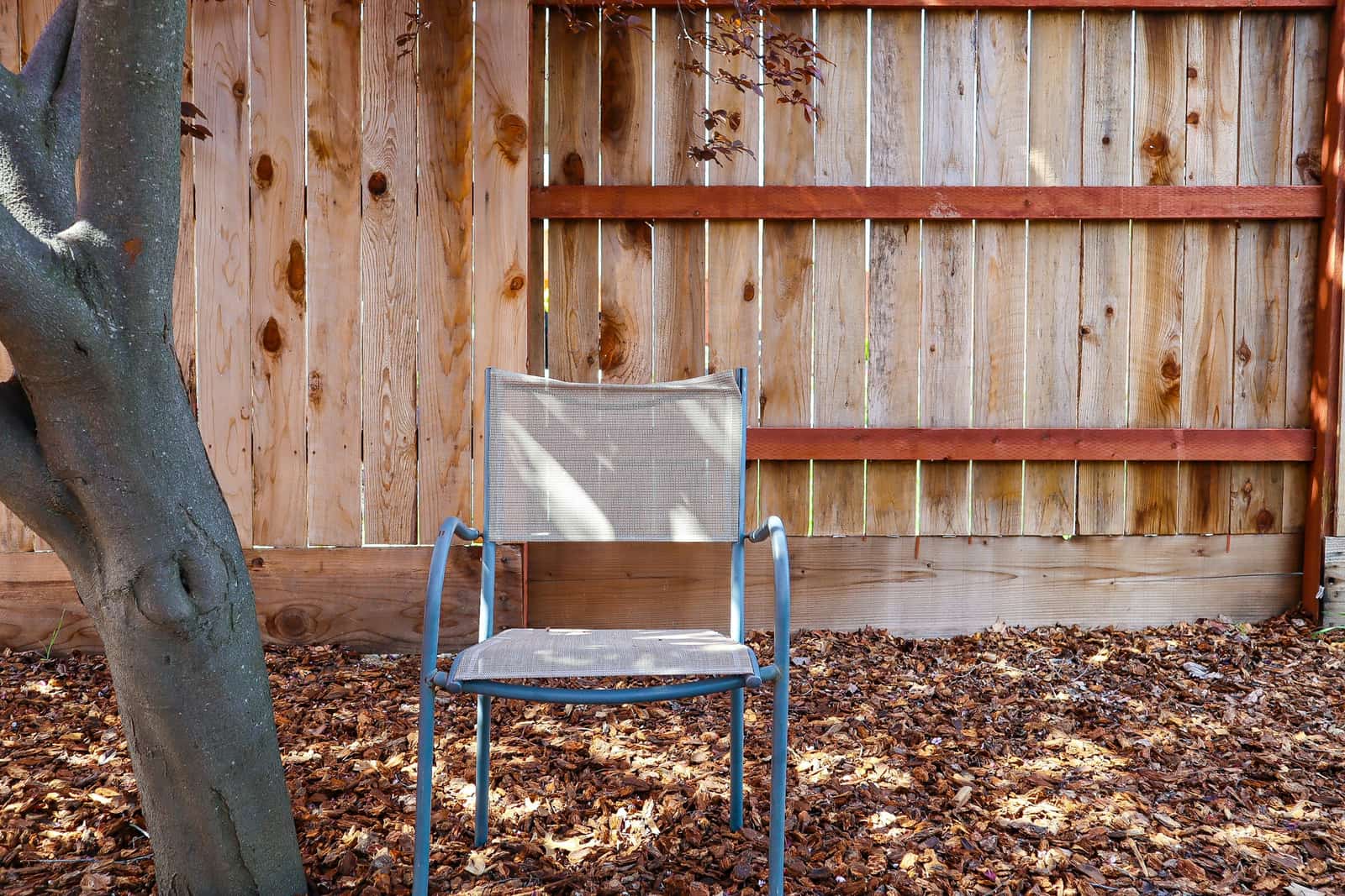 Fence Painting & Staining for homes in Richardson, TX.
