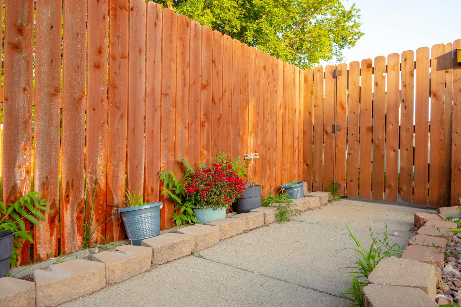 Fence Painting & Staining for homes in Rowlett, TX.