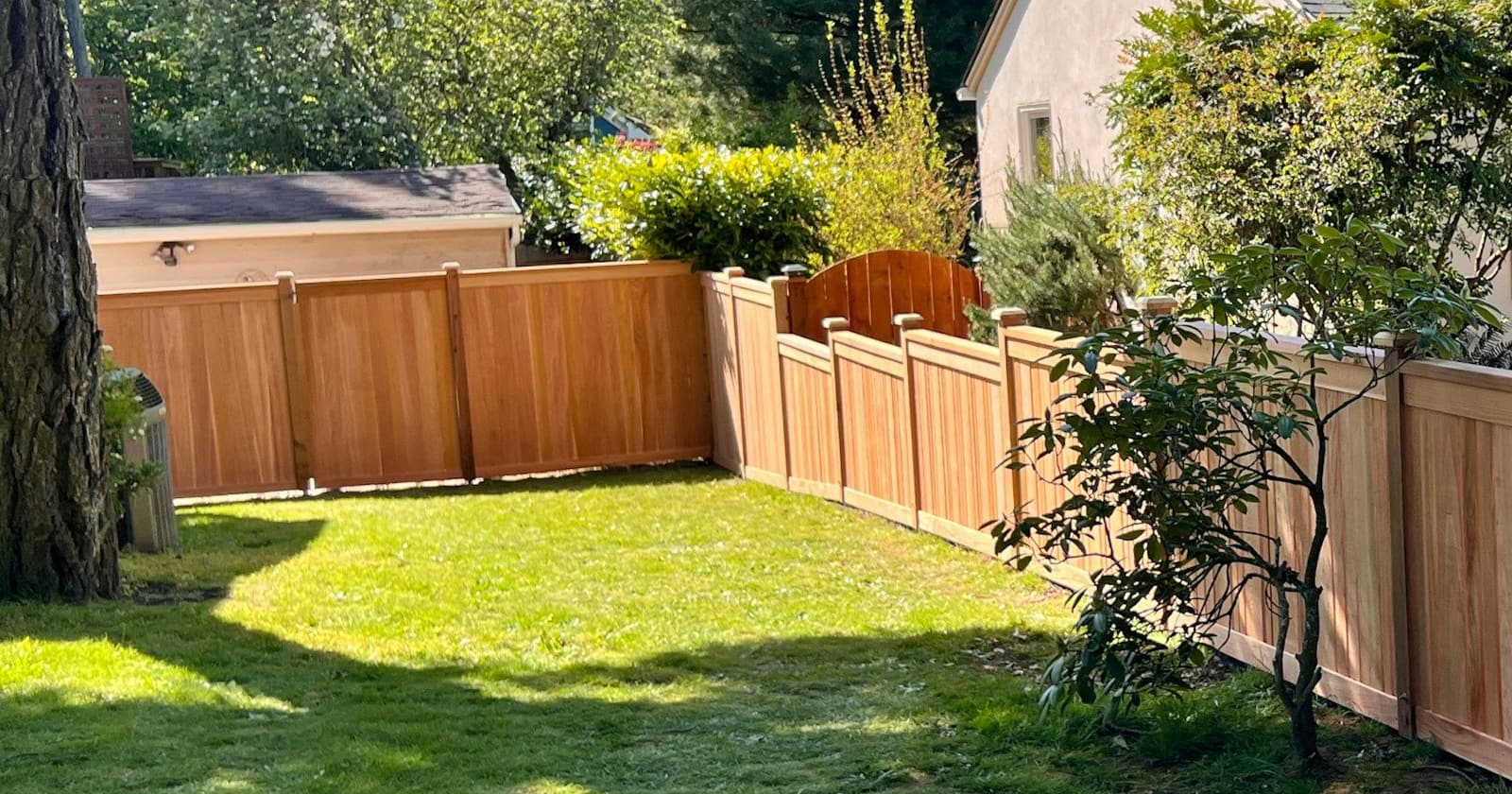 Fence Painting & Staining for homes in Wylie, TX.