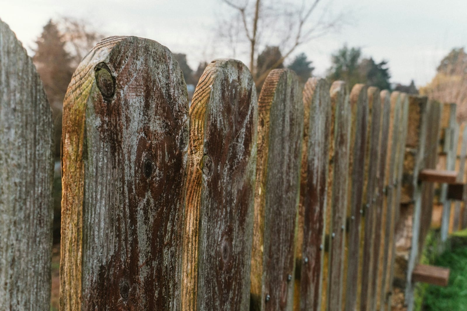 A weathered wood fence in Garland, TX that is due for restaining.